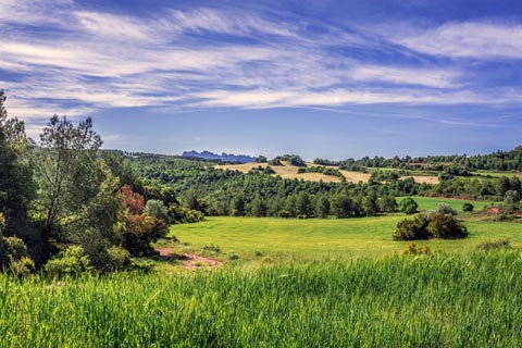 幸福な人生への神託