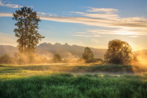 セフィロトの世界